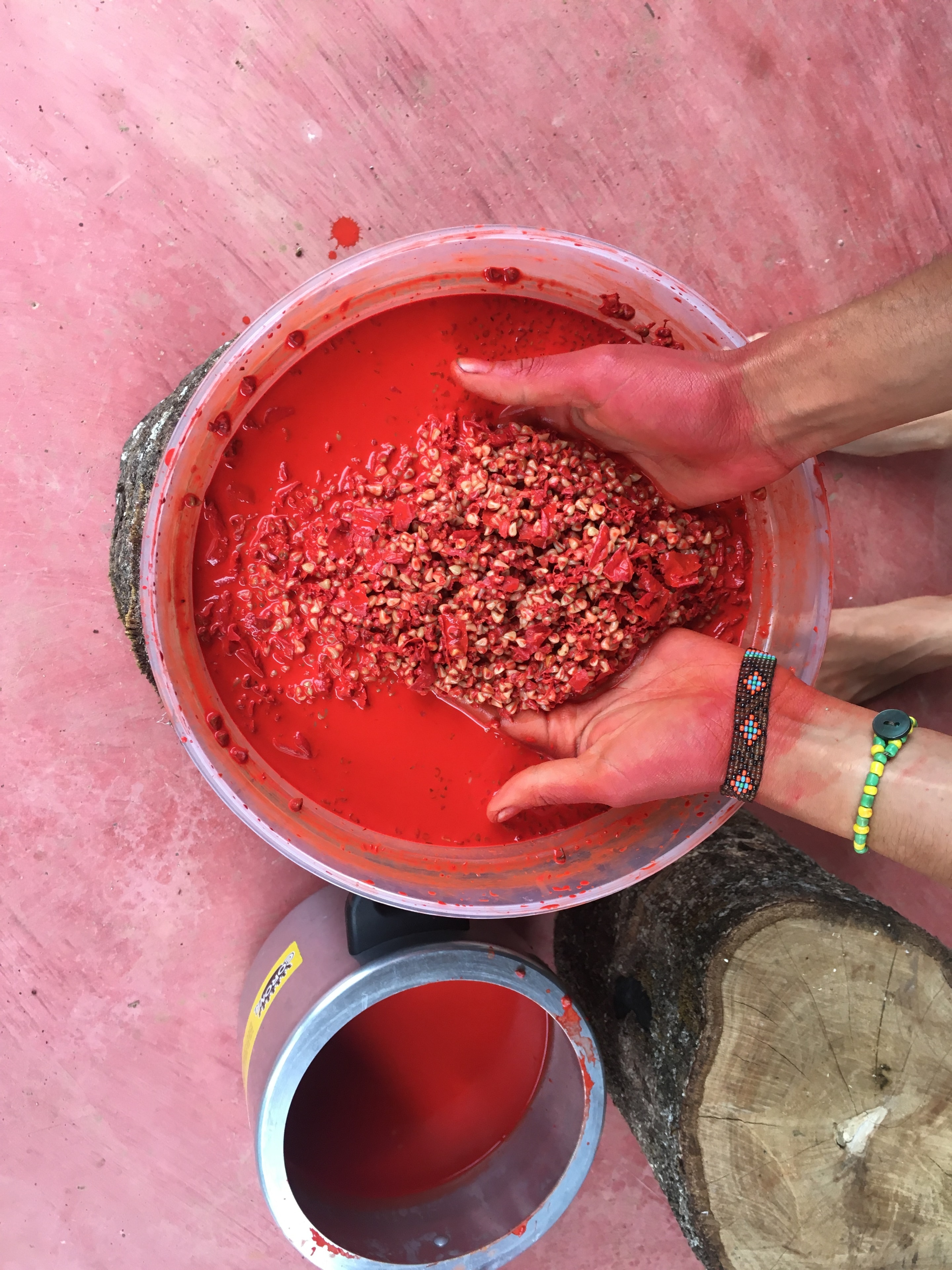 Cosecha y procesamiento de achiote