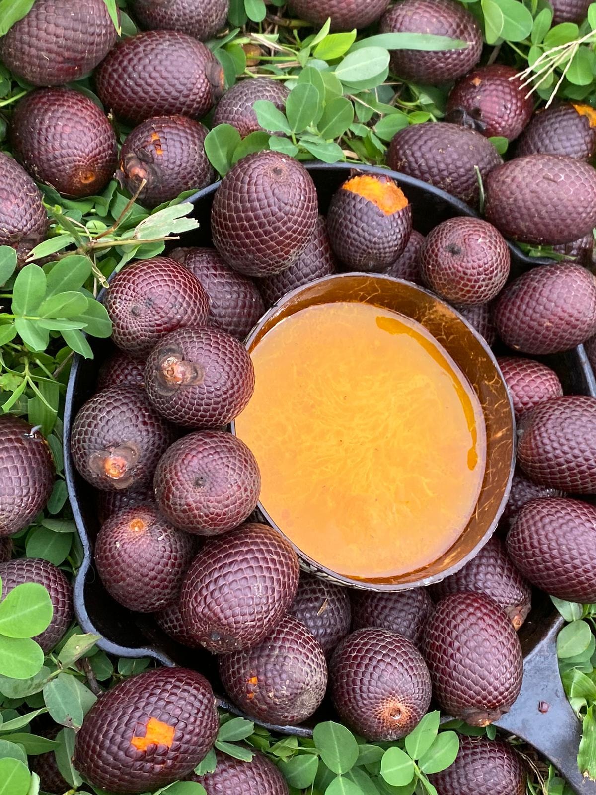 Canangucho — fruto amazónico